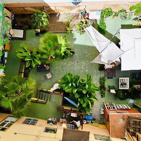 Hostel Jungle House Las Palmas / Gran Canaria Exterior foto